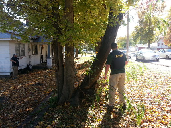 Officer standing by tree