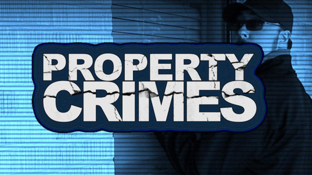 Property Crimes