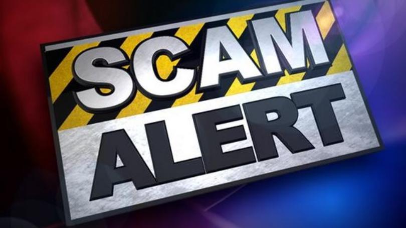 Scam Alert logo