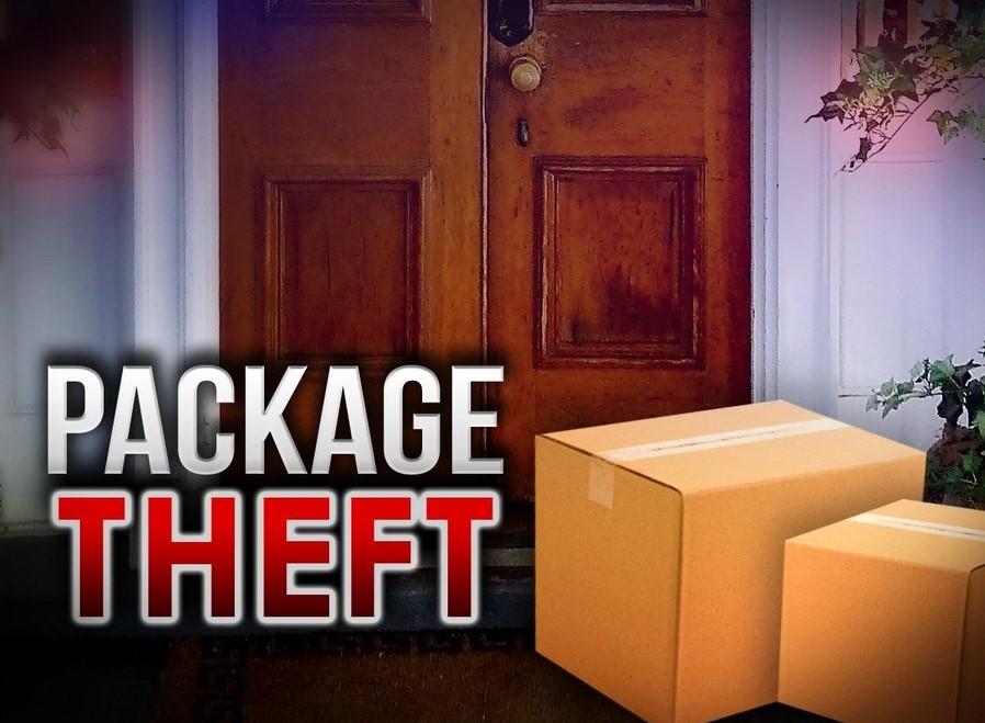 Package Theft artwork