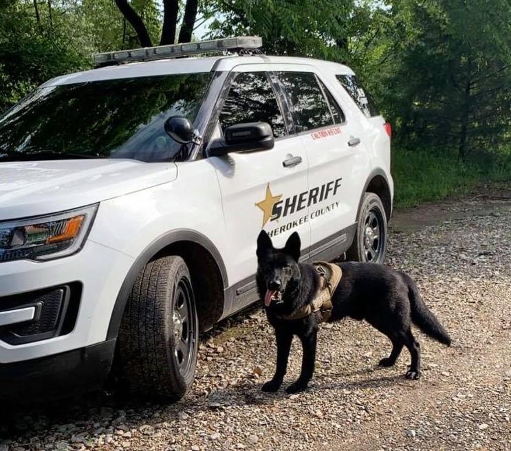 Cherokee County Sheriff's Office K9 Bear