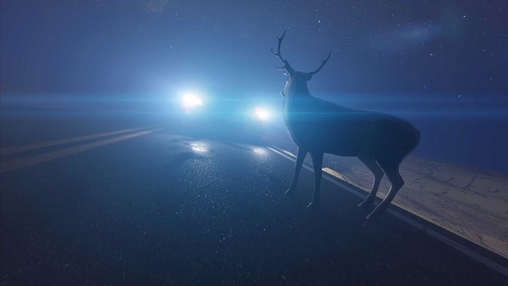 deer-in-front-of-a-car-headlights-at-night-illustration.jpg