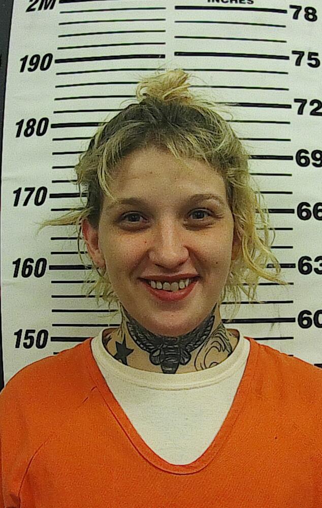Primary photo of Sara  Elizabeth Barnes - Please refer to the physical description