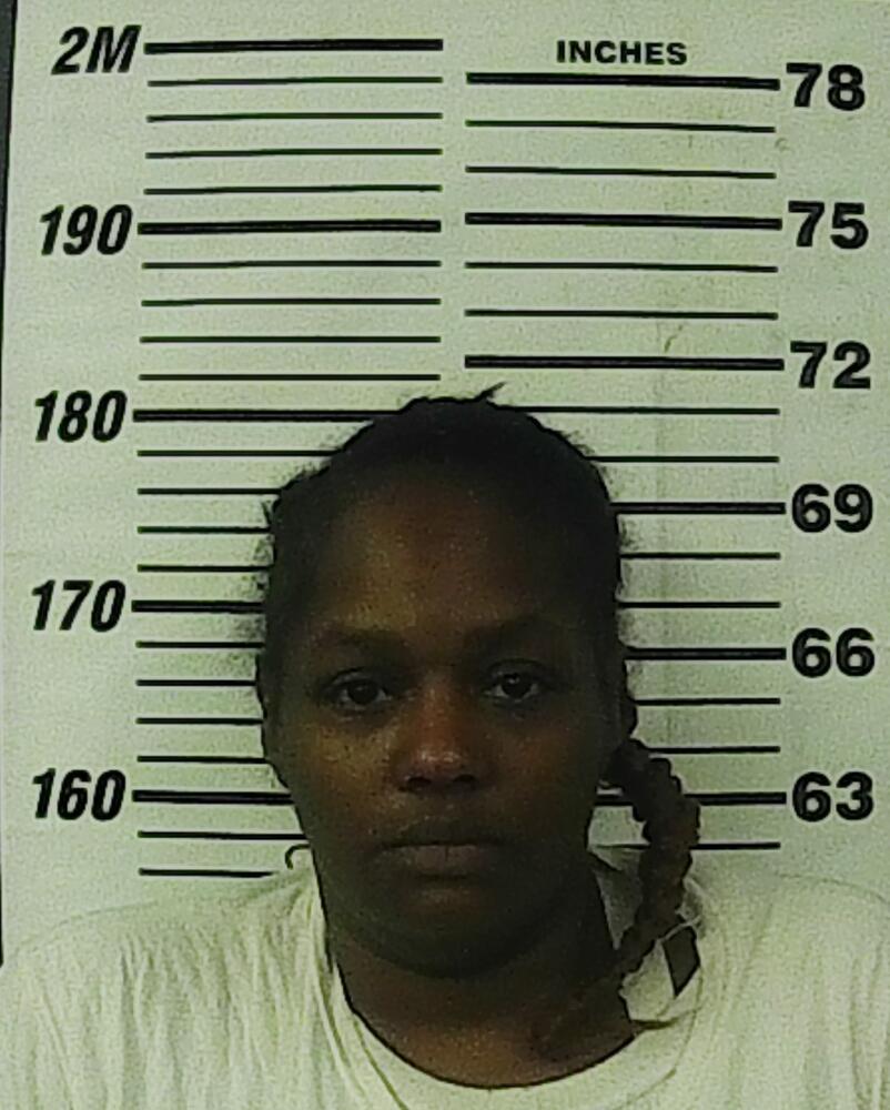 Primary photo of Yolanda Diniece Smith - Please refer to the physical description