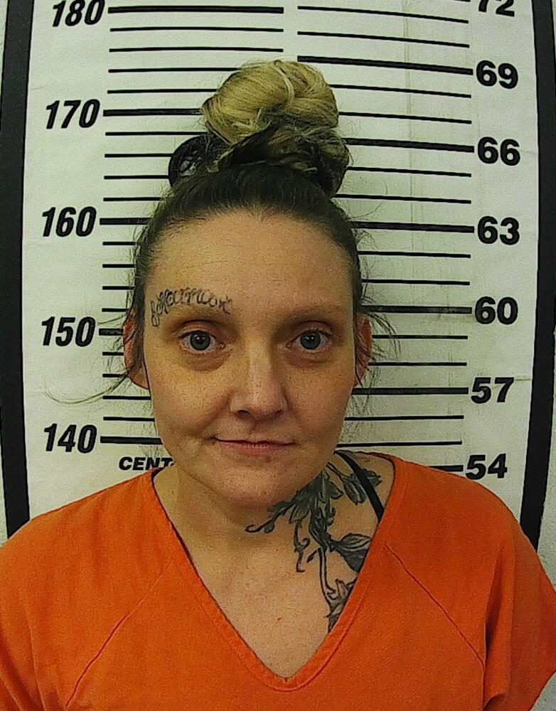 Primary photo of Samantha Jo Heine - Please refer to the physical description