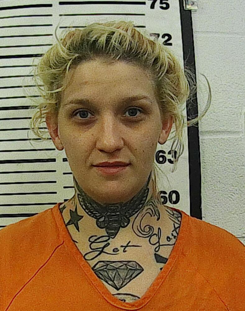 Primary photo of Sara Elizabeth Barnes - Please refer to the physical description