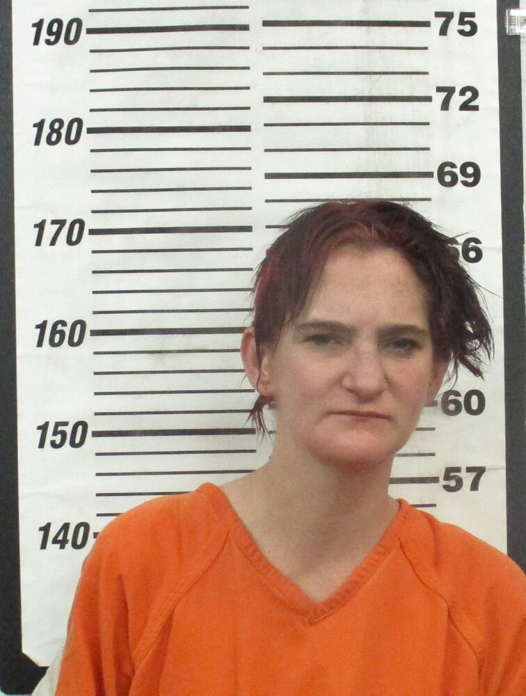 Primary Photo of Destiny Jasmine Briscoe. Please refer to the physical description.