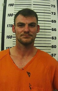 Mugshot of Dart, Ronnie Wayne 