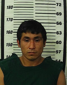 Mugshot of Washington, Bobbie Charles 