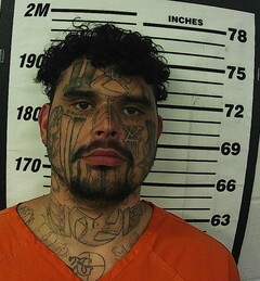 Mugshot of Reece, Rusty Dale 