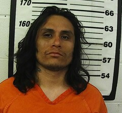 Mugshot of Alexander, Taz Lee 