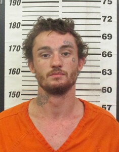 Adrian Bradley Bardt 