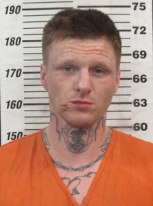 Mugshot of Johnson, Dacoda Johnathan Lee 