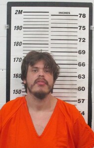 Mugshot of Green, Joshua Max 