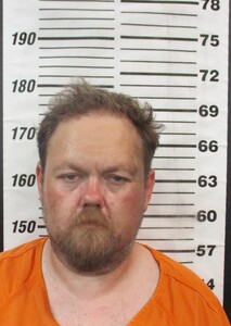 Mugshot of Tyree, Donnie Lee 