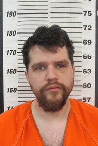 Mugshot of Davis, Christian Caroll Colbert 