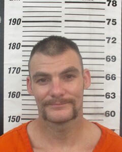 Mugshot of Dart, Ronnie Wayne 