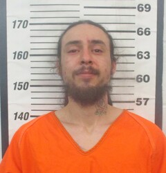 Mugshot of Blaine, Brandon Tyler 