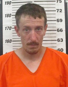Mugshot of Rickman, Levi Eugene 