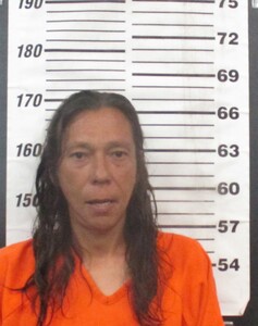 Mugshot of Sater, Sequoyah Elizabeth 