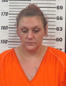 Mugshot of Hibdon, Rose Deeann 