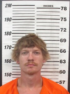 Mugshot of Young, Devin Michael 